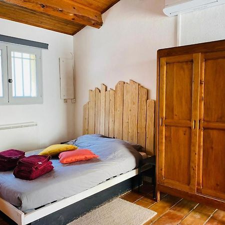 Studio Ile De La Barthelasse A Deux Pas Du Centre Avinyon Dış mekan fotoğraf