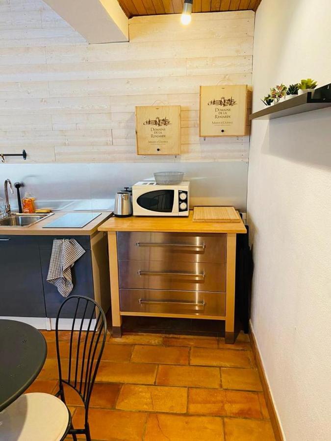 Studio Ile De La Barthelasse A Deux Pas Du Centre Avinyon Dış mekan fotoğraf