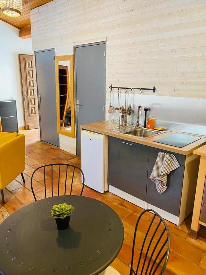 Studio Ile De La Barthelasse A Deux Pas Du Centre Avinyon Dış mekan fotoğraf